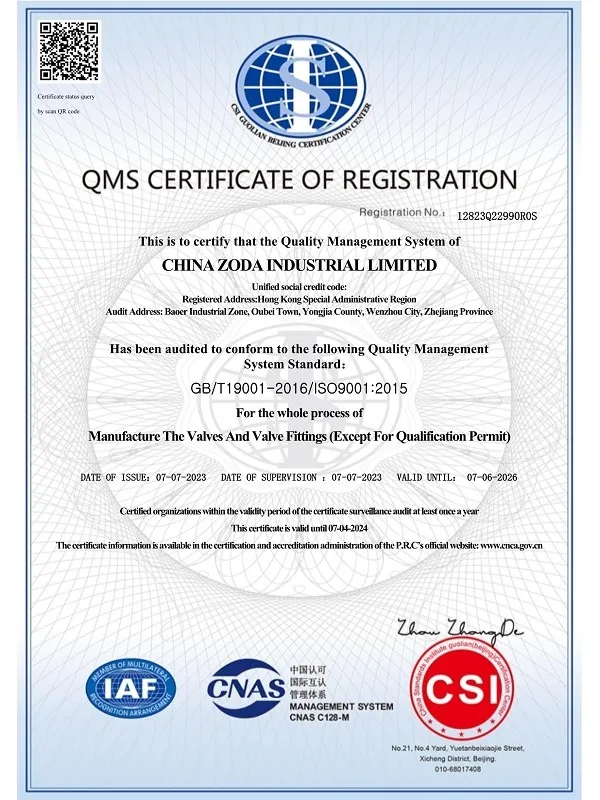ISO 9001