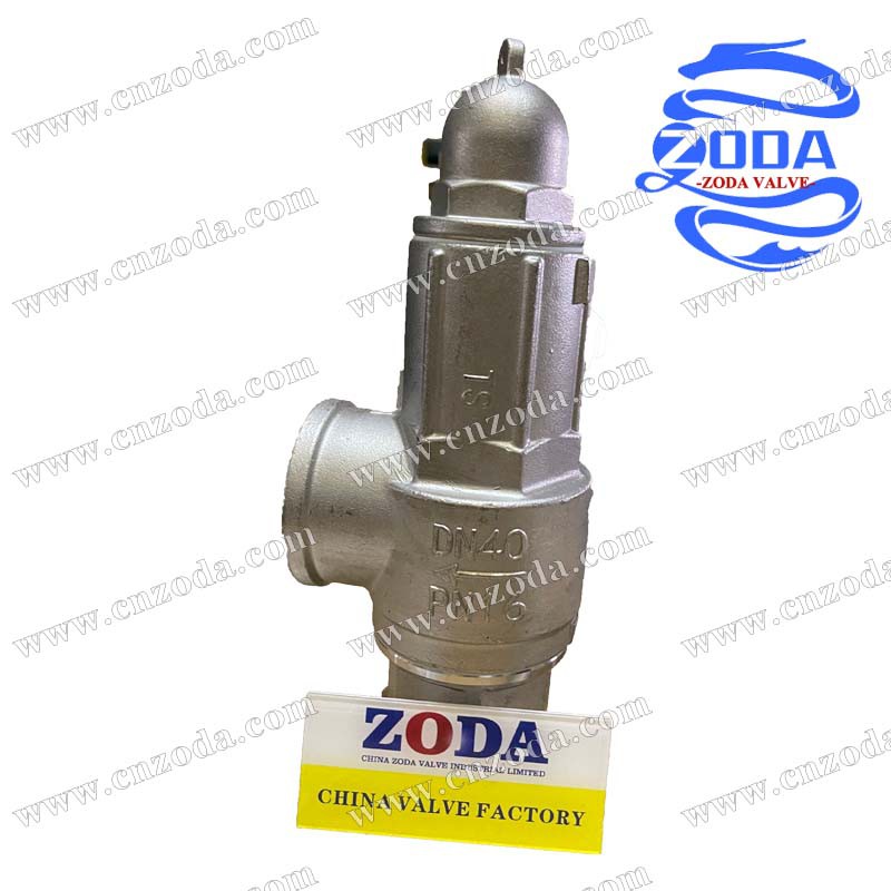 SS Safety Valve
